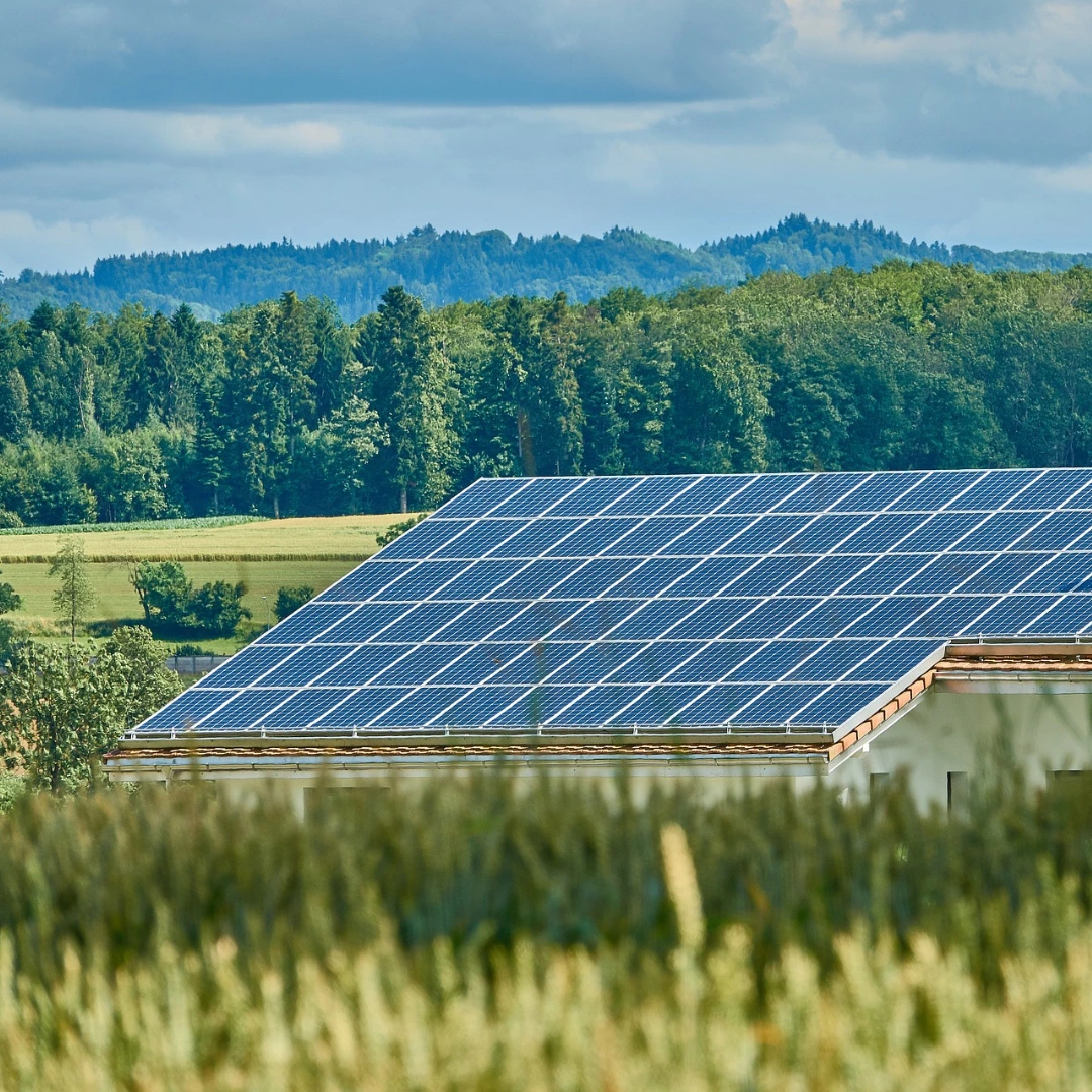 Solar Growth